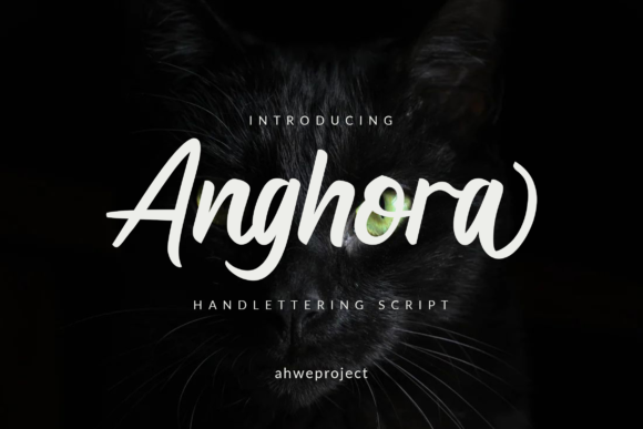 Anghora: A Premium Script Font for Elegant Branding