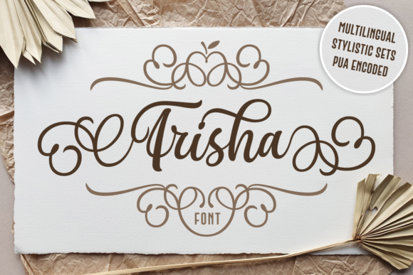 Frisha Font: Elevate Your Brand Identity