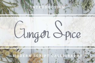 Ginger Spice Font for Editorial Design