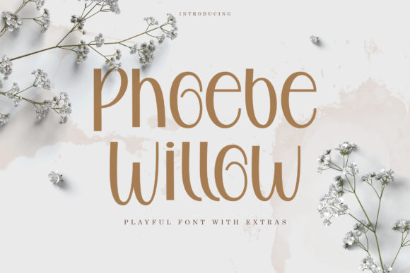 Phoebe Willow: A Soft Script Font for Editorial Design
