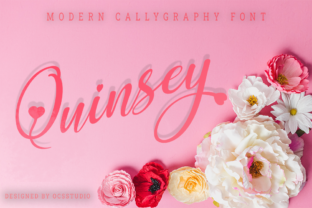 Quinsey: A Handwritten Typeface for Editorial Elegance